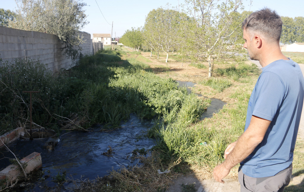 Un noi mira la seva finca, afectada per la sequera al Canal d'Urgell