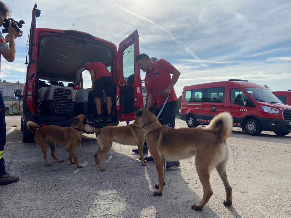 Gossos de la Unitat Canina de Bombers que viatgen al Marroc per ajudar a les víctimes del terratrèmol