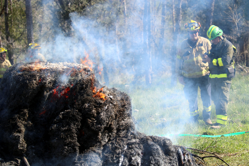 Incendis