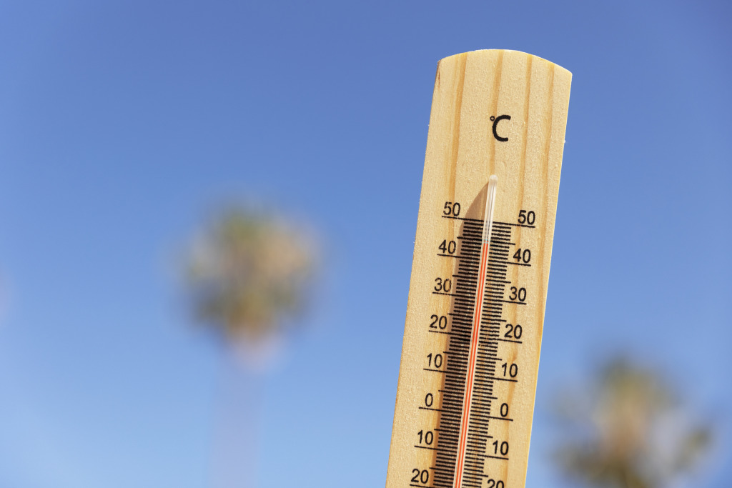 Consells per combatre la calor