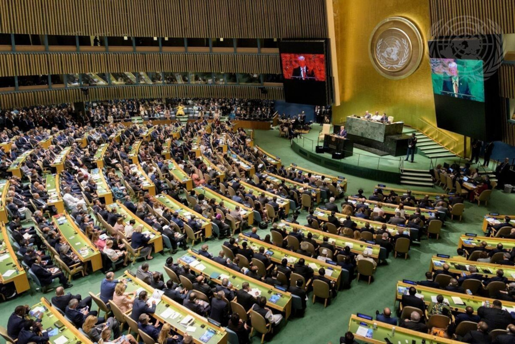 Assemblea General de l'ONU
